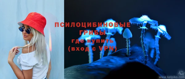 экстази Белокуриха
