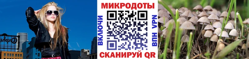 Псилоцибиновые грибы Magic Shrooms  MEGA как войти  Рудня 